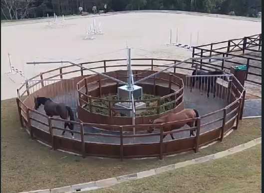 Instalaciones de Blumman Equestrian en Antioquia
