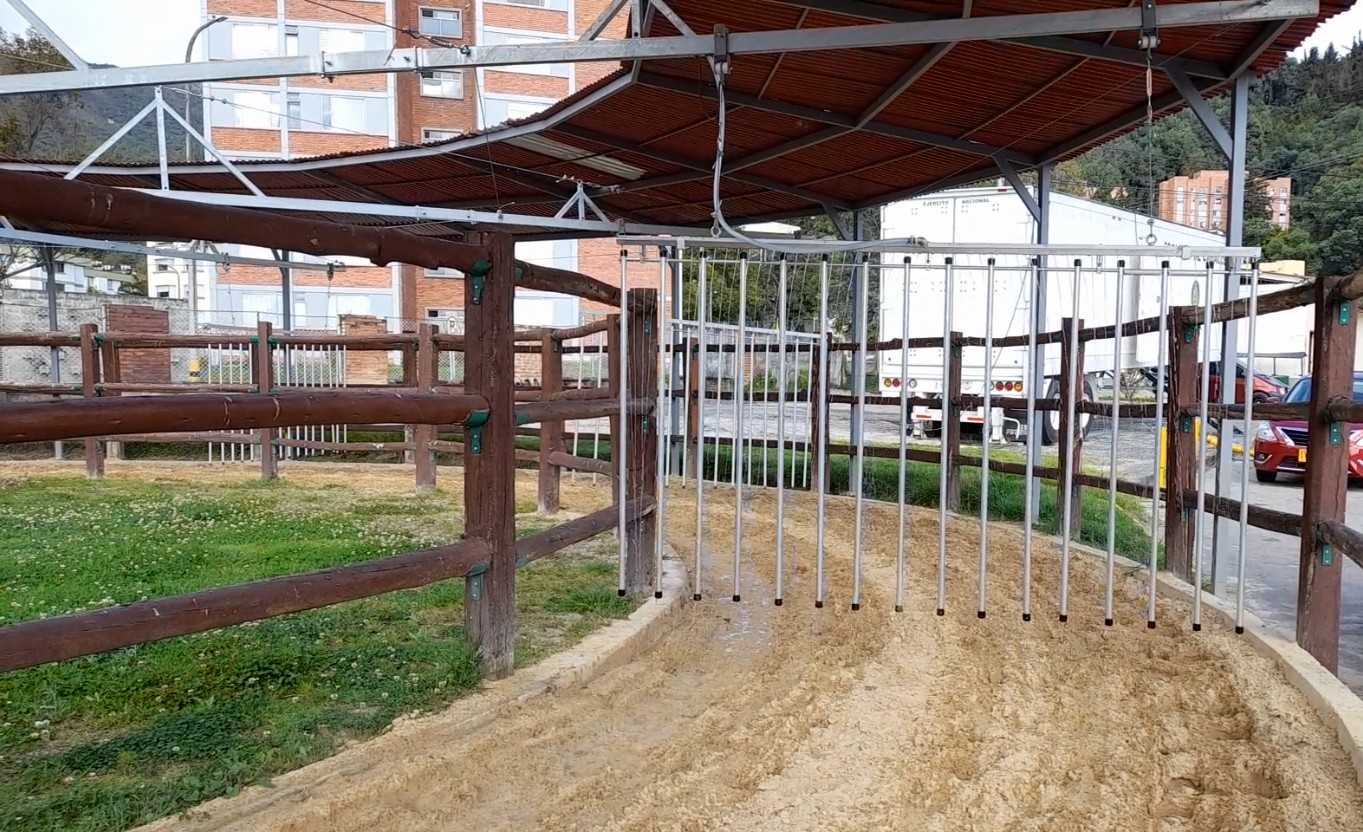 Caminador en el Cantón de Caballería de la Escuela Militar