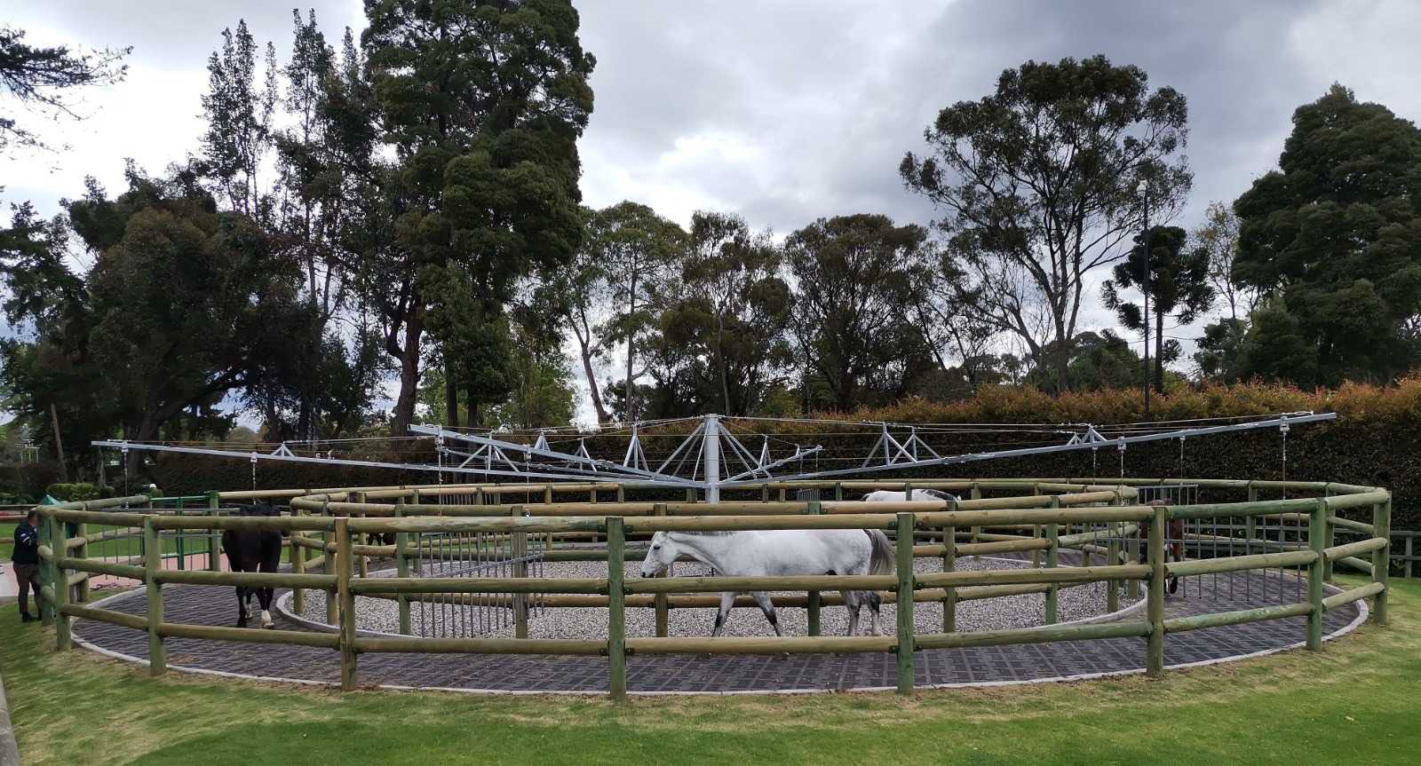 Caminador de caballos en el Country Club de Bogotá