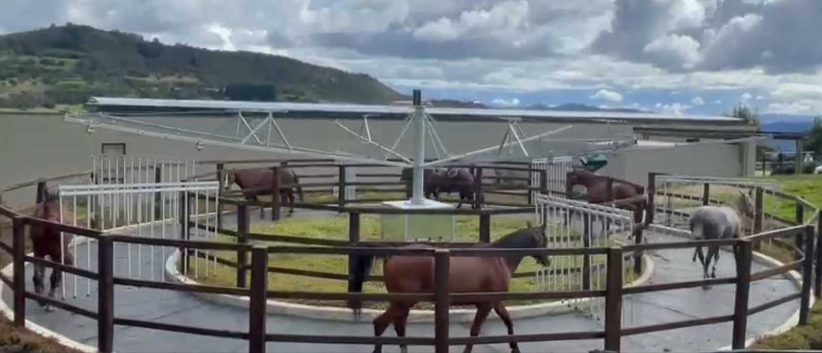 Pista y caminador en Haras La Macoya